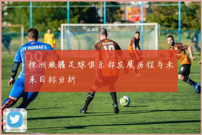 株洲狼腾足球俱乐部发展历程与未来目标分析