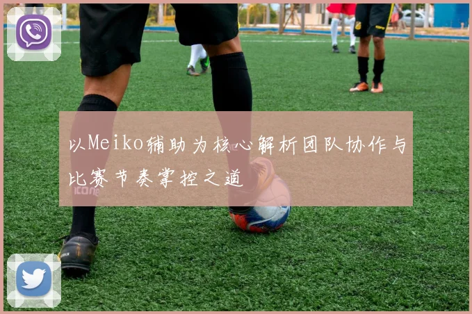 以Meiko辅助为核心解析团队协作与比赛节奏掌控之道