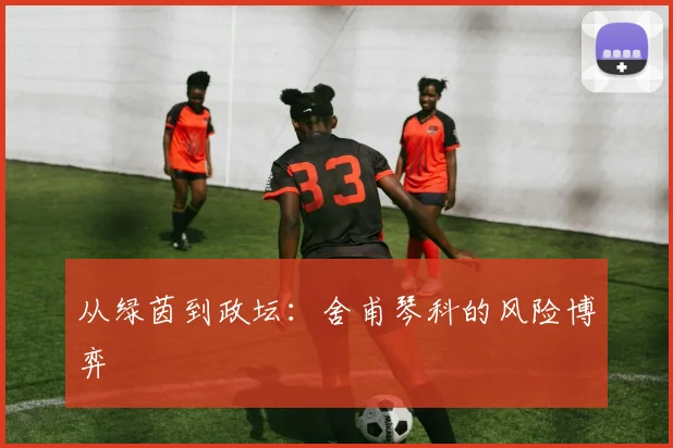 从绿茵到政坛：舍甫琴科的风险博弈